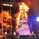 Image for article titled Fox News Christmas Tree Set on Fire in Suspected Arson